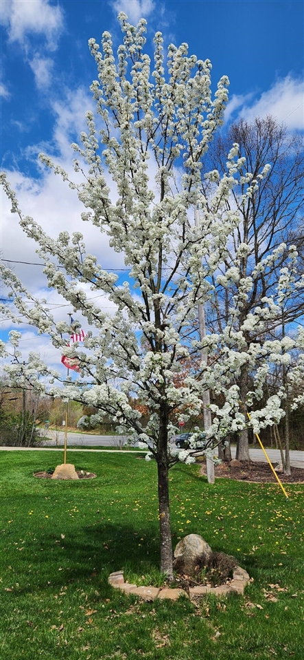 8471 45th Street, Ada, MI, 49301-9254