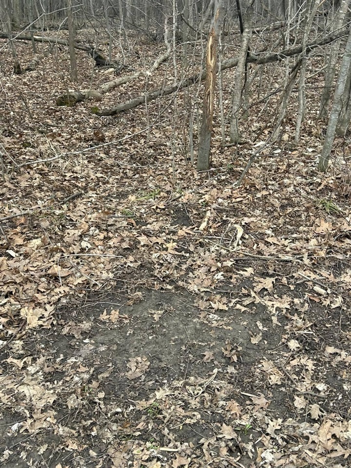 S Pittsford Road, Pittsford, MI, 49271