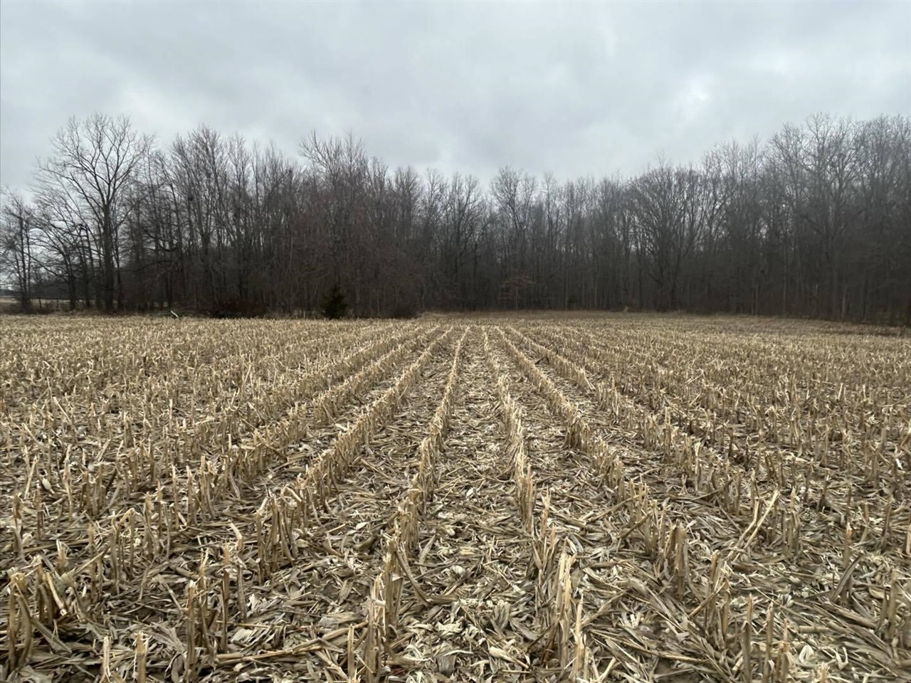 S Pittsford Road, Pittsford, MI, 49271