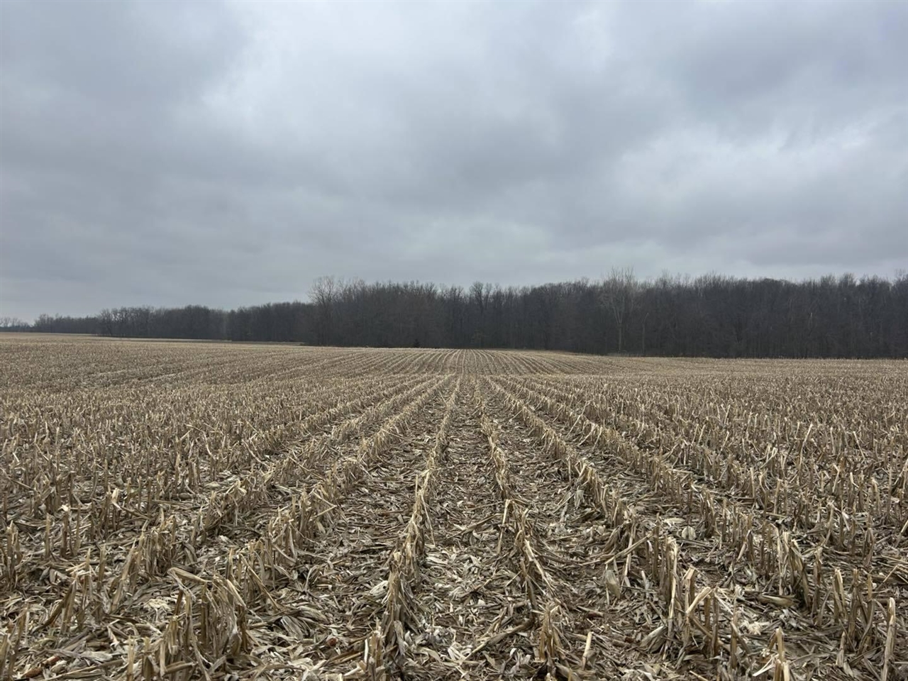 S Pittsford Road, Pittsford, MI, 49271