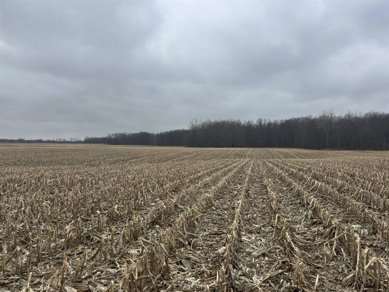 S Pittsford Road, Pittsford, MI, 49271
