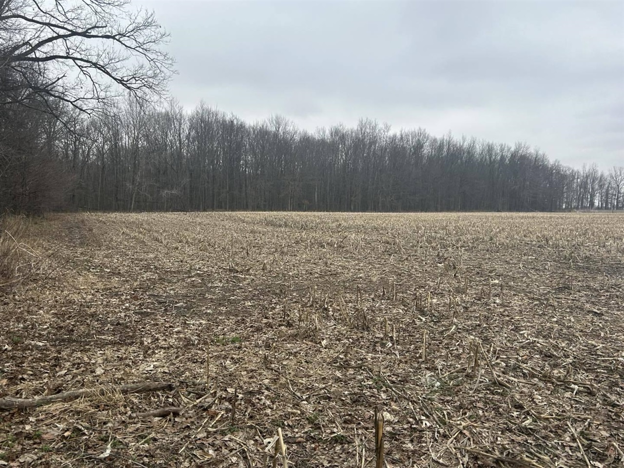 S Pittsford Road, Pittsford, MI, 49271