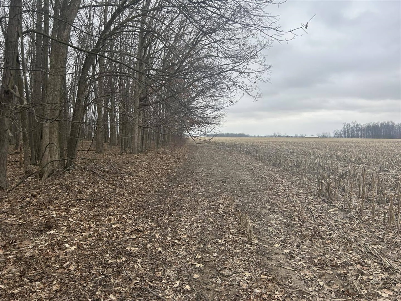 S Pittsford Road, Pittsford, MI, 49271