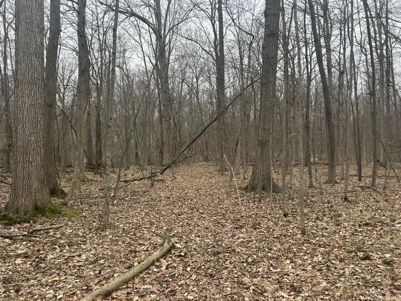 S Pittsford Road, Pittsford, MI, 49271