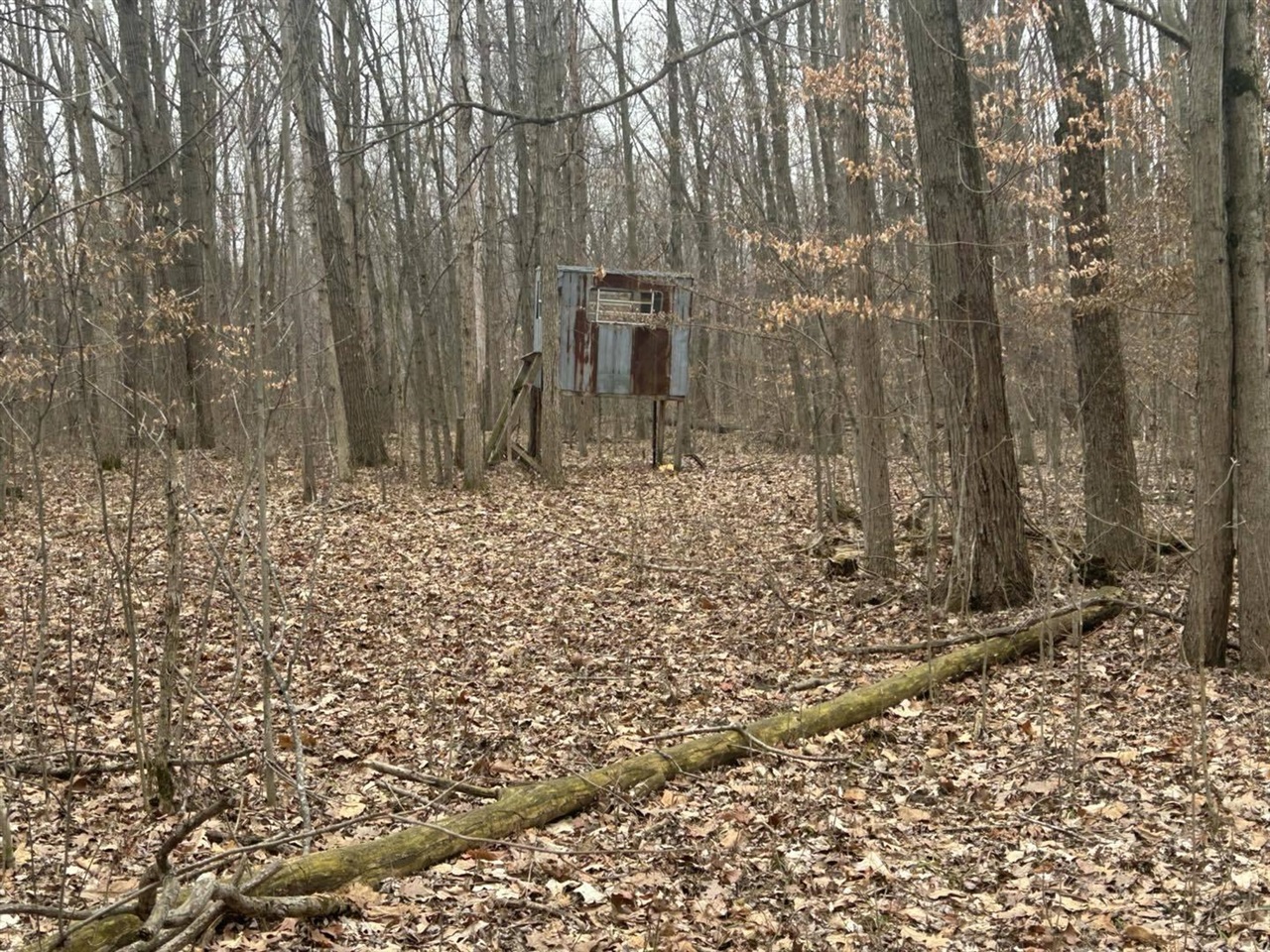 S Pittsford Road, Pittsford, MI, 49271