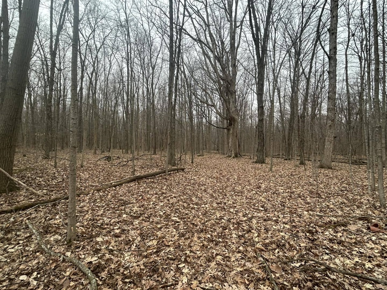 S Pittsford Road, Pittsford, MI, 49271