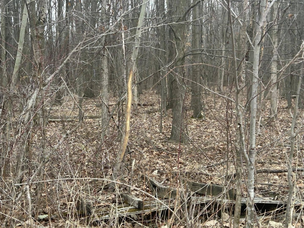 S Pittsford Road, Pittsford, MI, 49271