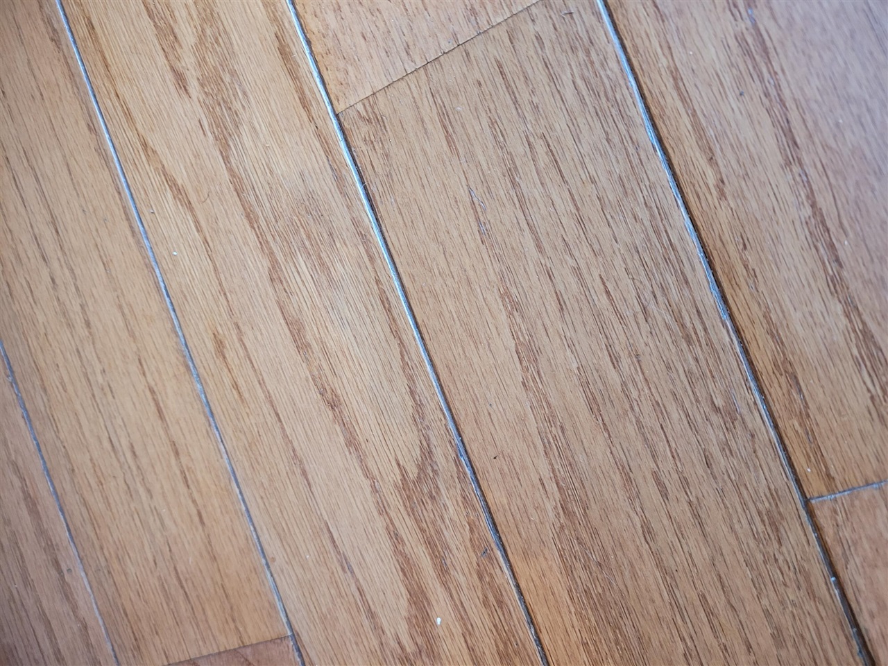 6820 Bowerman Road, Horton, MI, 49246-9511