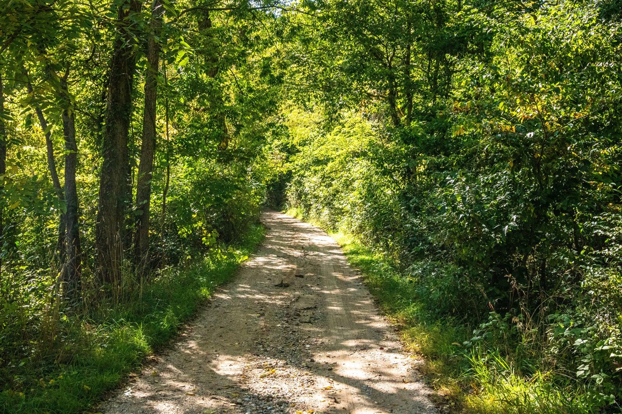 Homes for sale in Plainwell, MI | 667 Pierce Rd, Plainwell, MI 49080 | MLS# 70518983