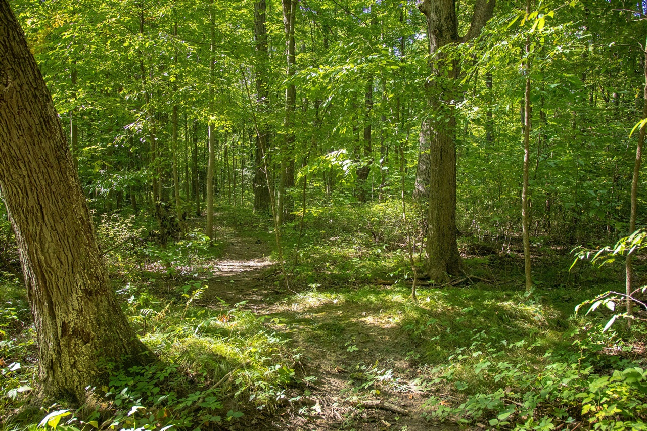 Homes for sale in Plainwell, MI | 667 Pierce Rd, Plainwell, MI 49080 | MLS# 70518983