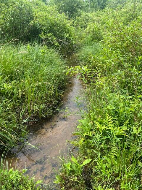 Homes for sale in Plainwell, MI | 667 Pierce Rd, Plainwell, MI 49080 | MLS# 70518983