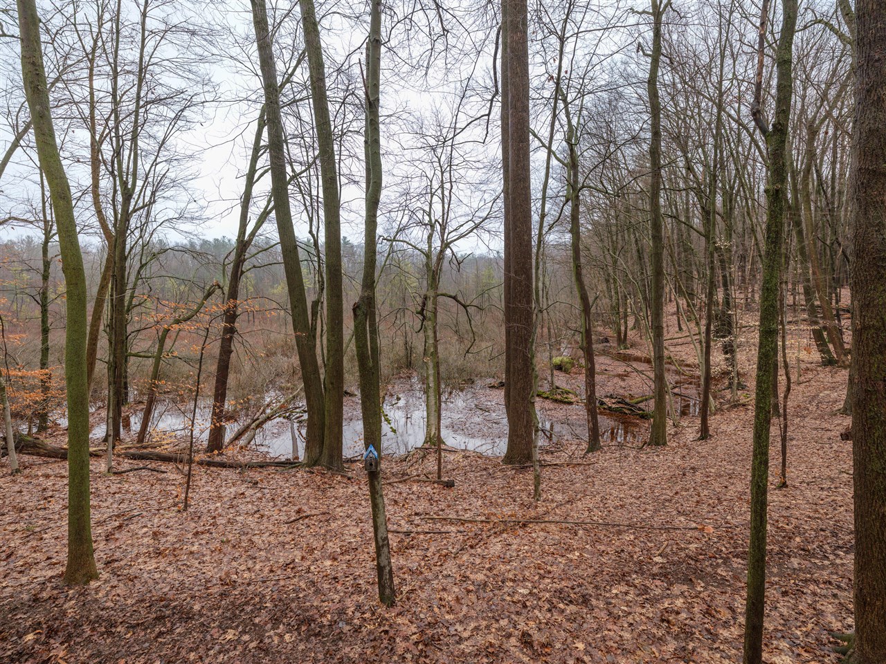 22431 Paulson Road, Gobles, MI, 49055