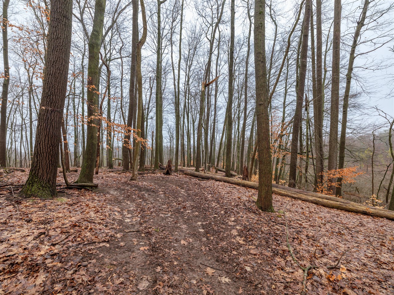 22431 Paulson Road, Gobles, MI, 49055