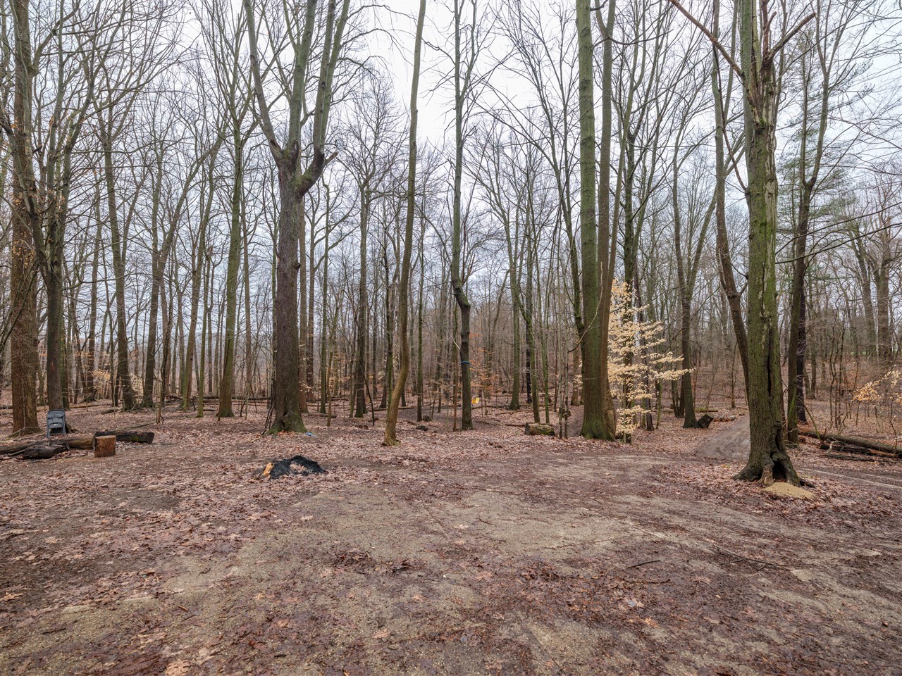 22431 Paulson Road, Gobles, MI, 49055