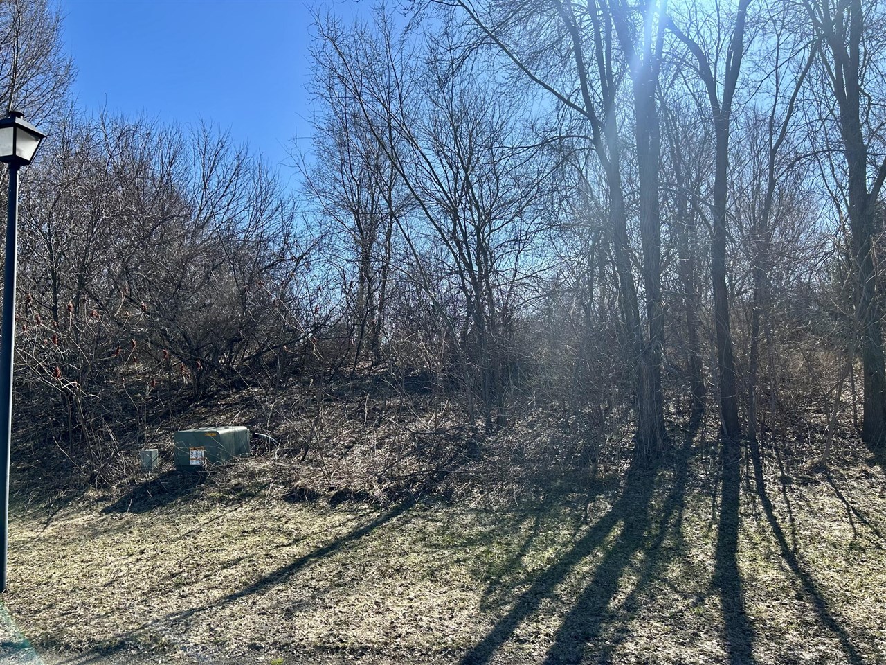 7969 Amber Jam Way 25 photo 1