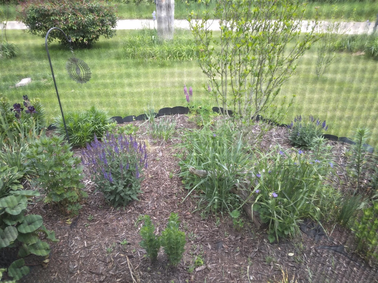 14 S 5th Street, Morley, MI, 49336-8003