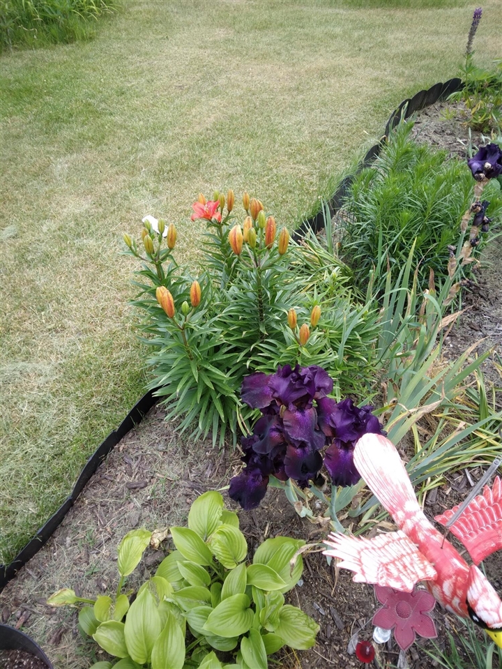 14 S 5th Street, Morley, MI, 49336-8003