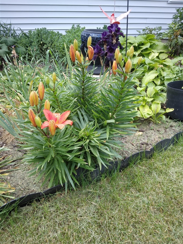 14 S 5th Street, Morley, MI, 49336-8003