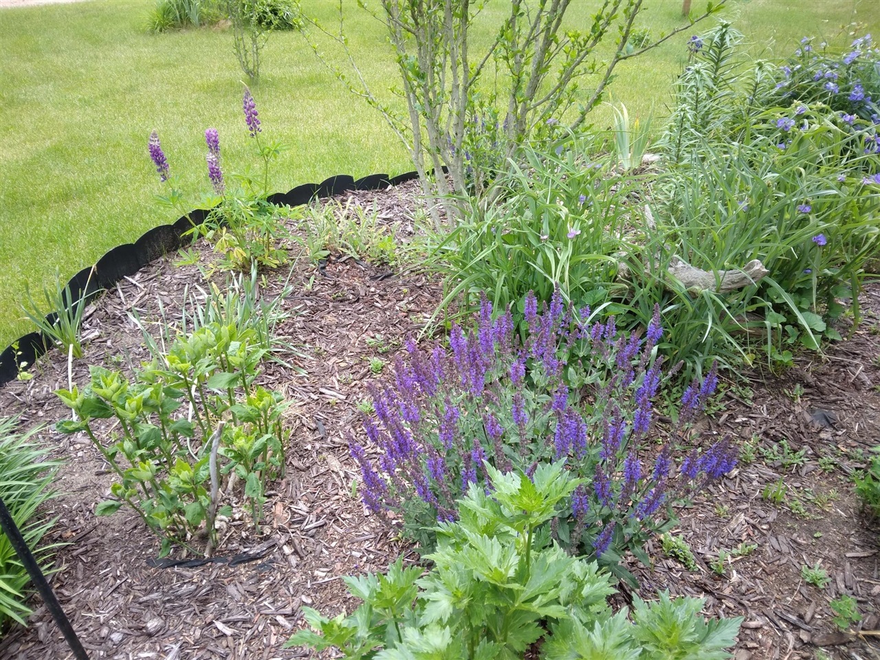 14 S 5th Street, Morley, MI, 49336-8003