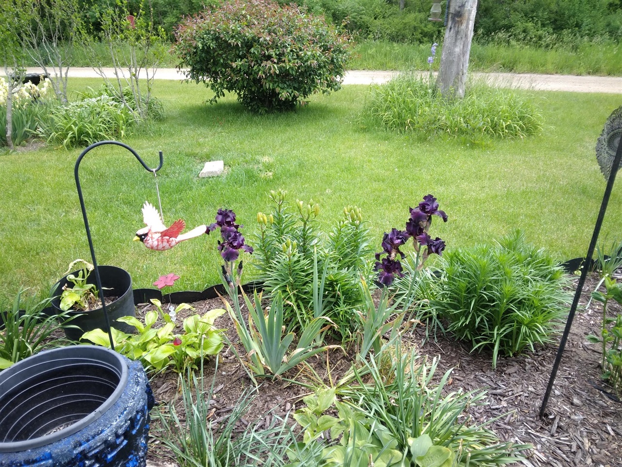 14 S 5th Street, Morley, MI, 49336-8003