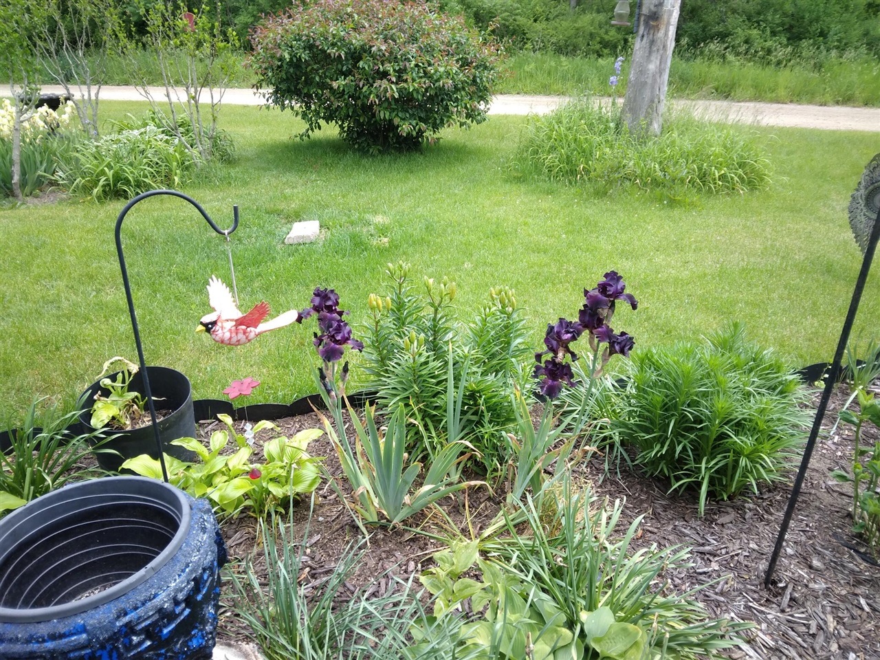 14 S 5th Street, Morley, MI, 49336-8003