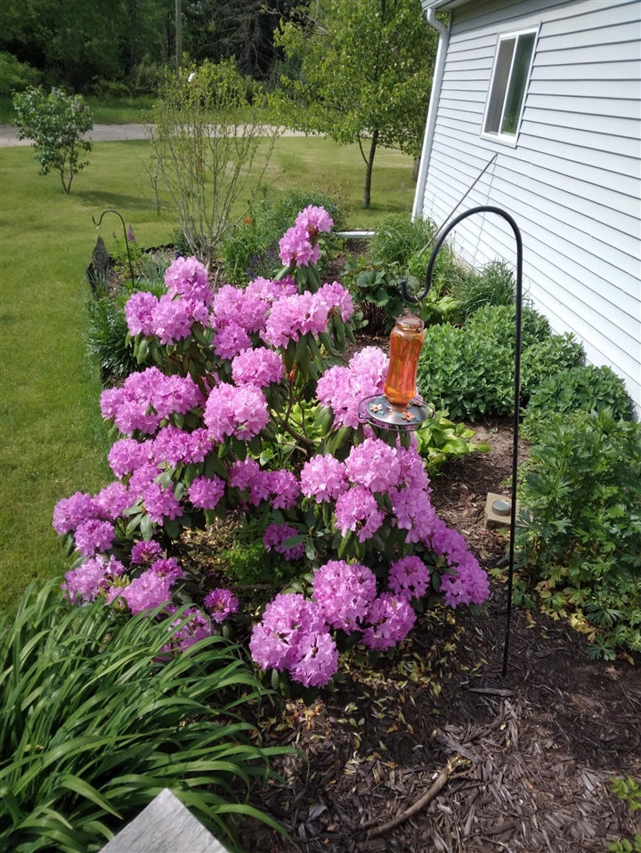 14 S 5th Street, Morley, MI, 49336-8003