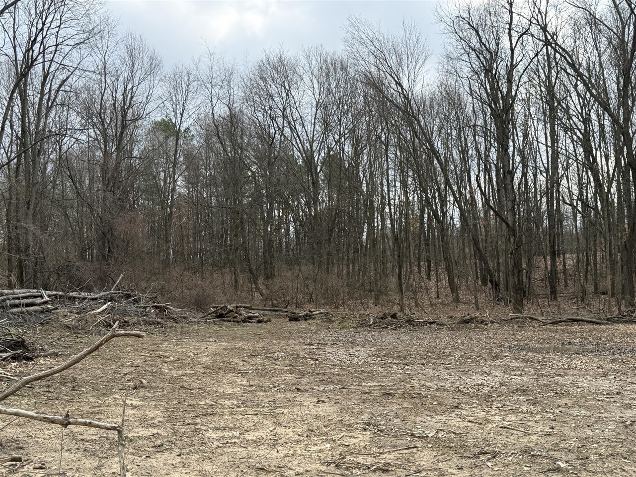 V/L Yawger Road, Battle Creek, MI, 49017