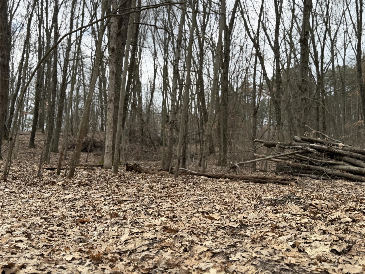 V/L Yawger Road, Battle Creek, MI, 49017