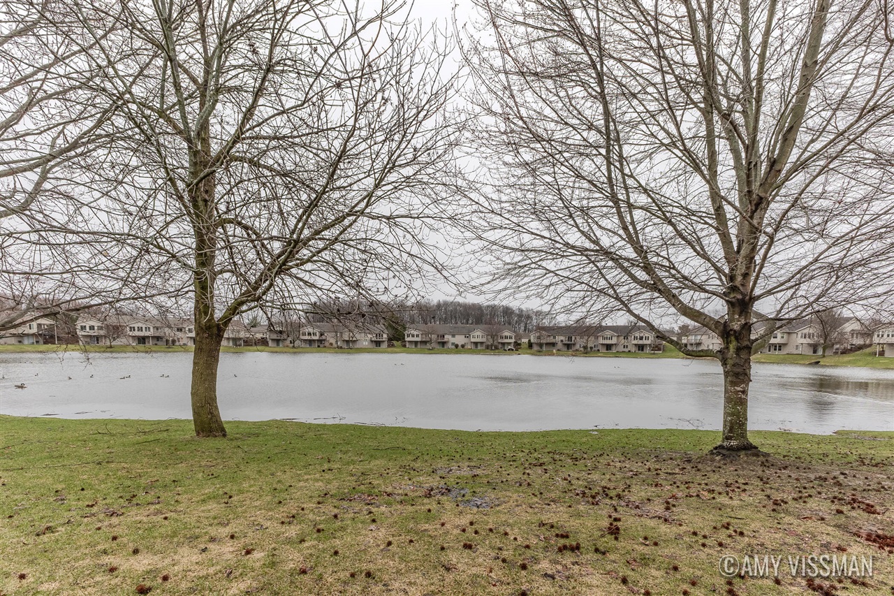 8147 Winding Drive, Byron Center, MI, 49315-8946