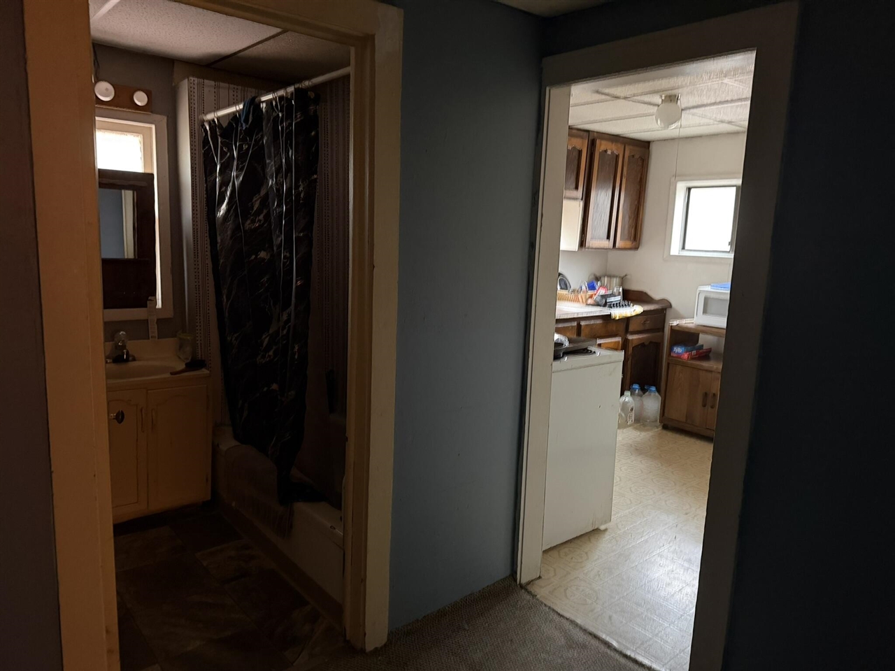 690 E Essex Drive, Idlewild, MI, 49642-9770