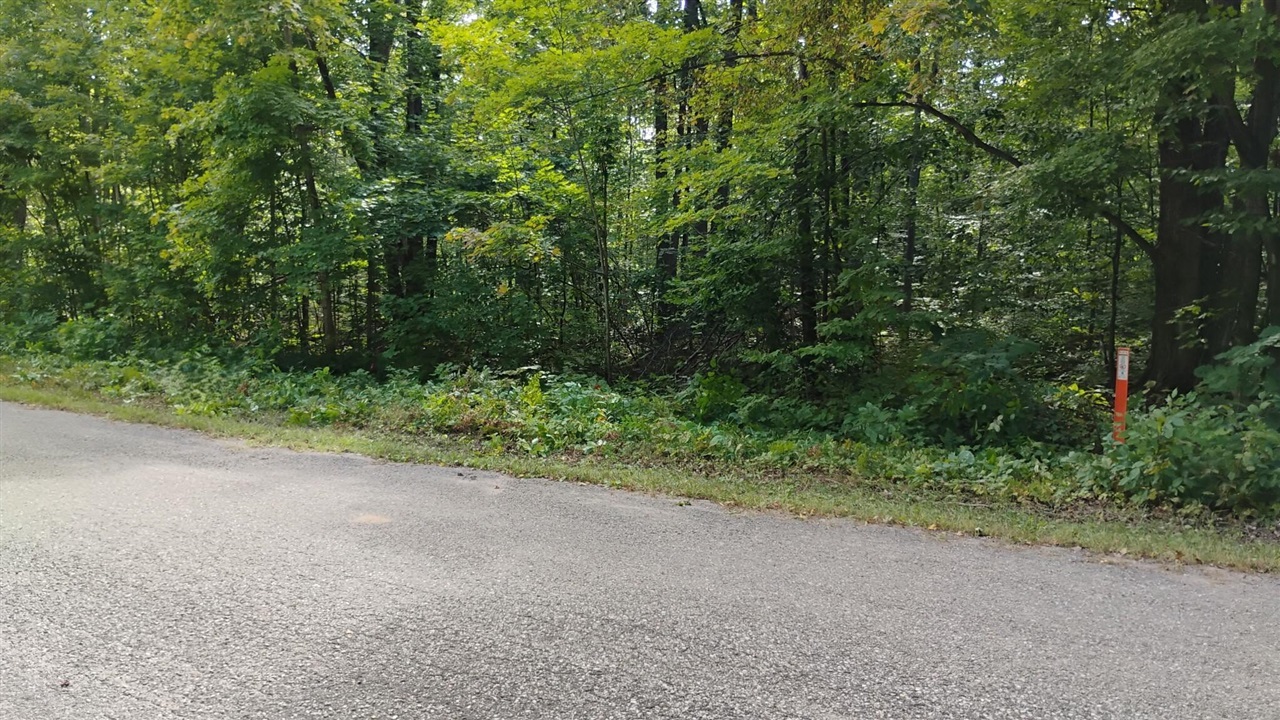 Land for sale at Valleyridge Cir, Elmira, MI 49730 | MLS# 70519244