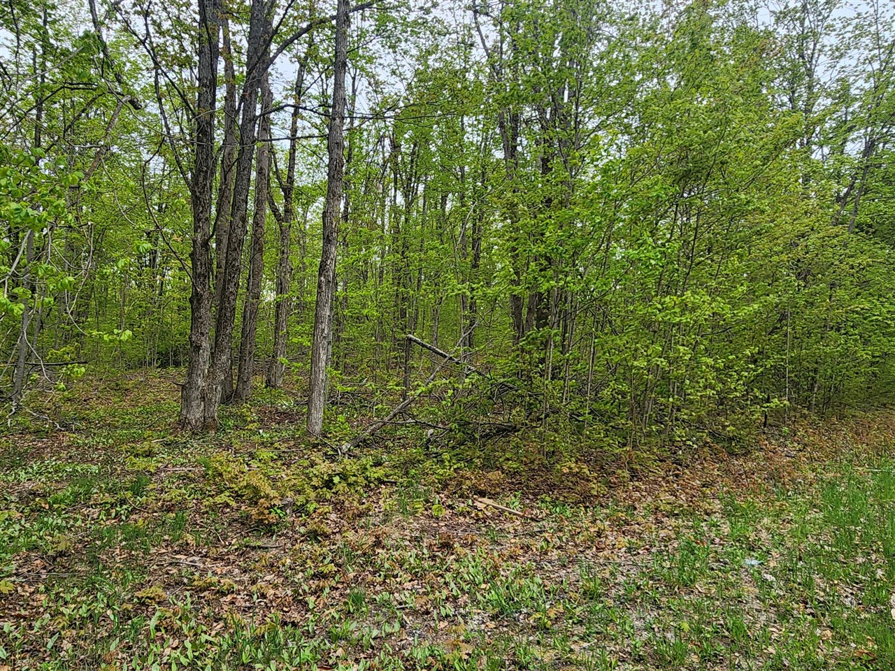 Photo 3 of Land for sale at Valleyridge Cir, Elmira, MI 49730 | MLS# 70519244 | Listing updated on 2026-09-15