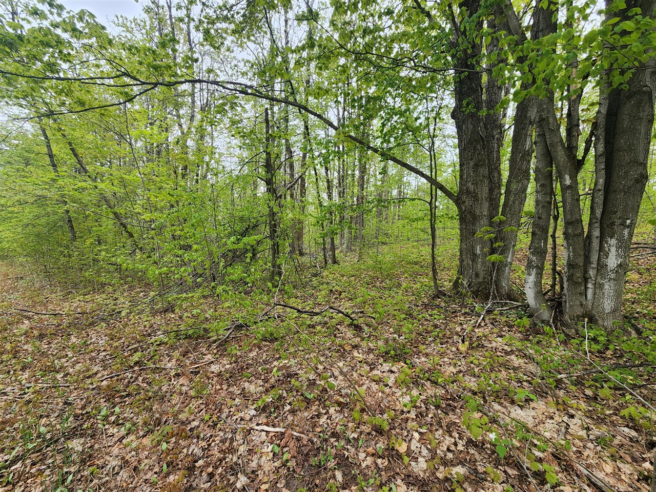 Photo 4 of Land for sale at Valleyridge Cir, Elmira, MI 49730 | MLS# 70519244 | Listing updated on 2026-09-15