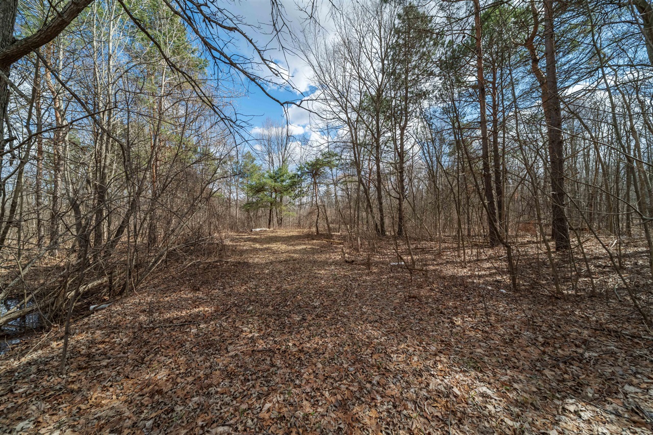 2725 S Duck Lake Road photo 2