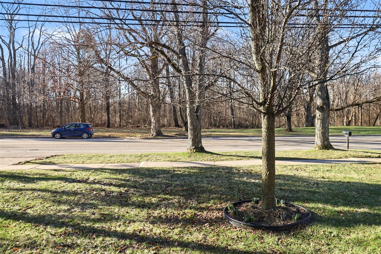 267 Willis Road, Saline, MI, 48176-1596