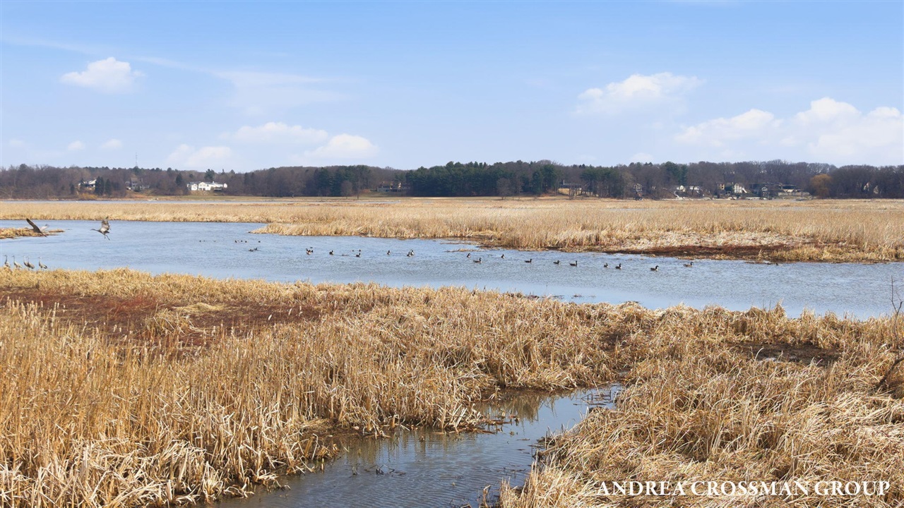 6465 Sandhill Lane, Fennville, MI, 49408