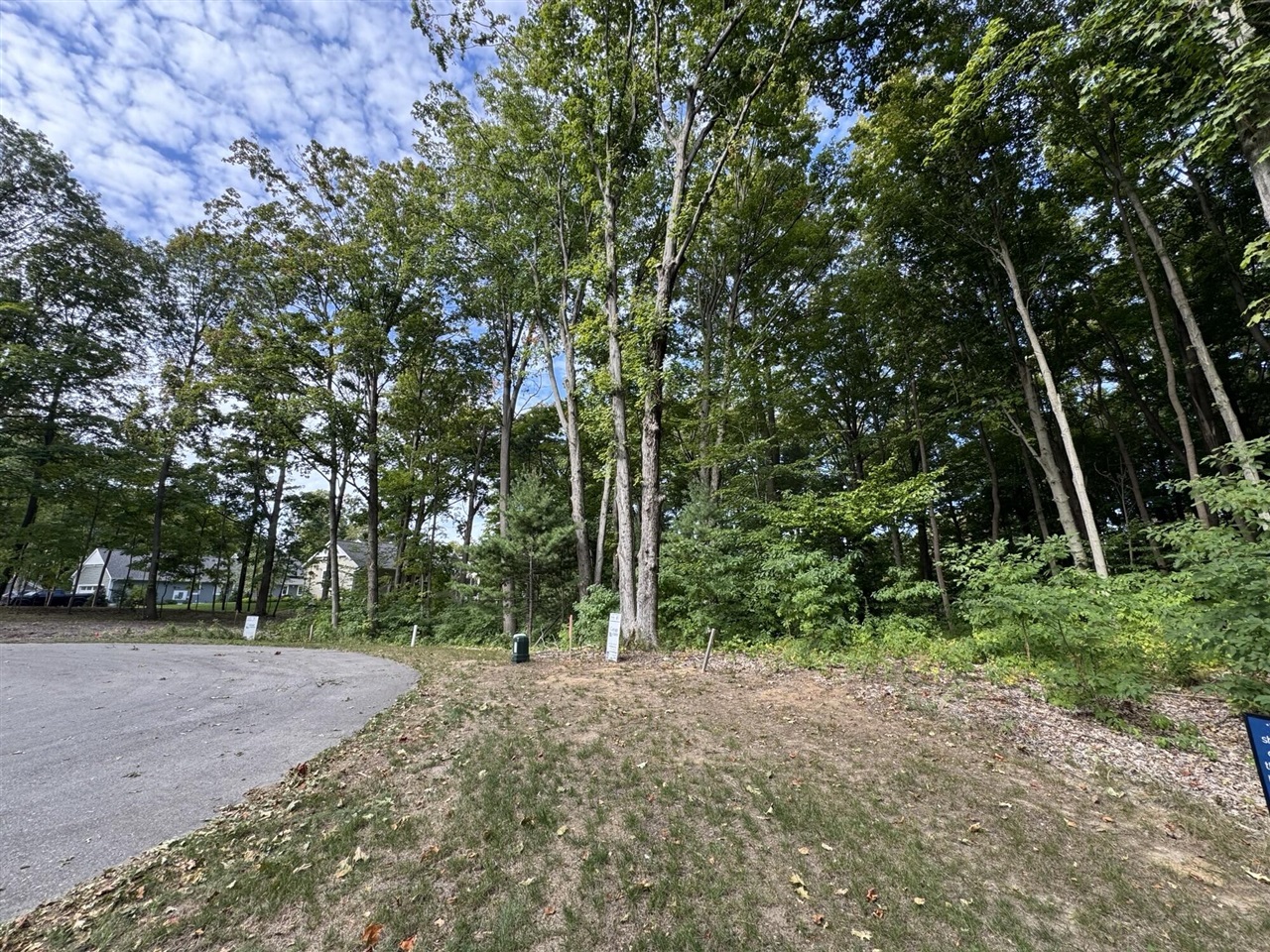 14606 Crest View Court photo 5