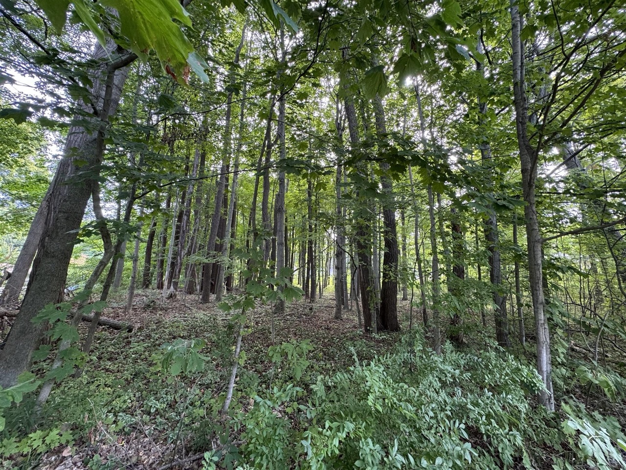 14606 Crest View Court photo 6