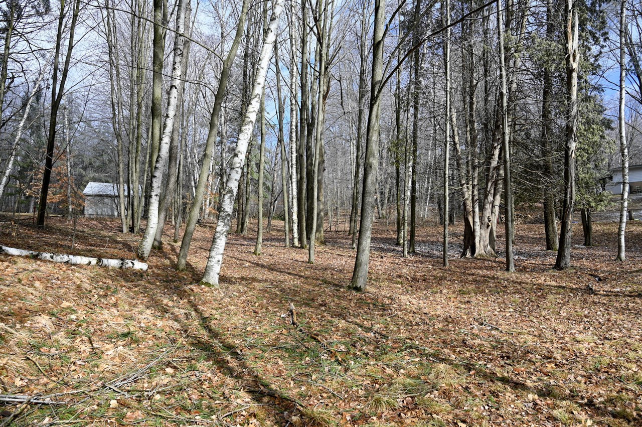 Photo 1 of Land for sale at 9828 Pontiac Trl, Evart, MI 49631 | MLS# 70519416 | Listing updated on 2026-09-28