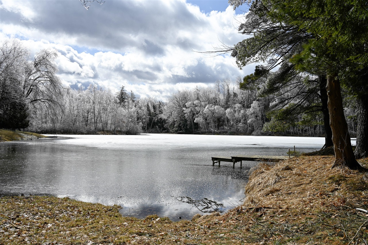 Photo 2 of Land for sale at 9828 Pontiac Trl, Evart, MI 49631 | MLS# 70519416 | Listing updated on 2026-09-28