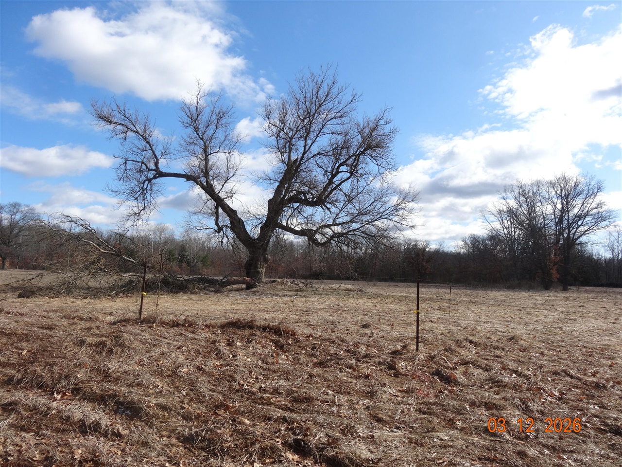 Block Skyline Drive, Morenci, MI, 49256