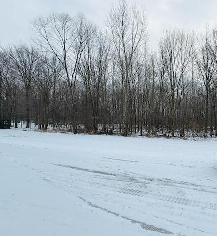 66 Hickory Trail photo 4