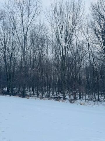 66 Hickory Trail photo 5