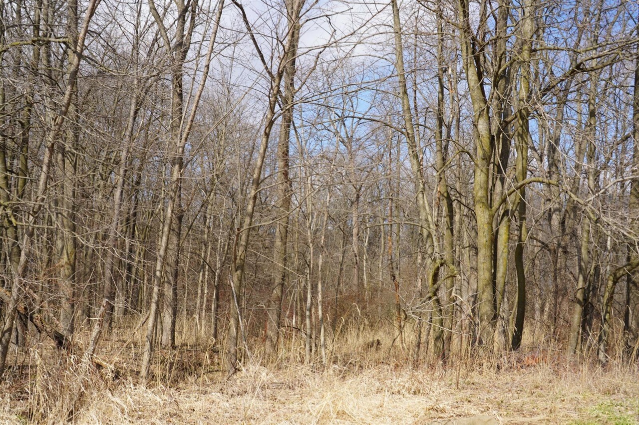 Homes for sale in Munith, MI | 9492 Sayers Rd, Munith, MI 49259 | MLS# 70519465