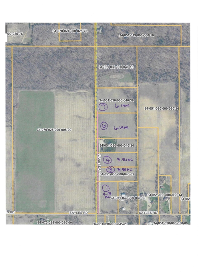 V/L Janet Dr Parcel 4, Saranac, MI, 48881