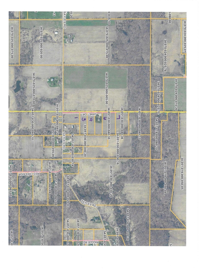 V/L Janet Dr Parcel 4, Saranac, MI, 48881
