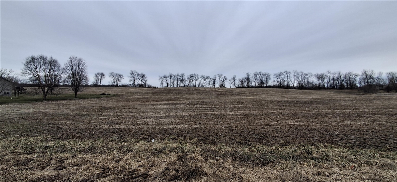 V/L Janet Dr Parcel 4, Saranac, MI, 48881