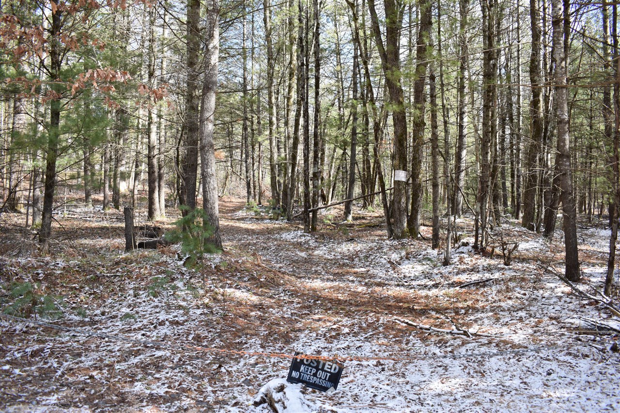 5199 E Marquette Trail, Chase, MI, 49623-8677