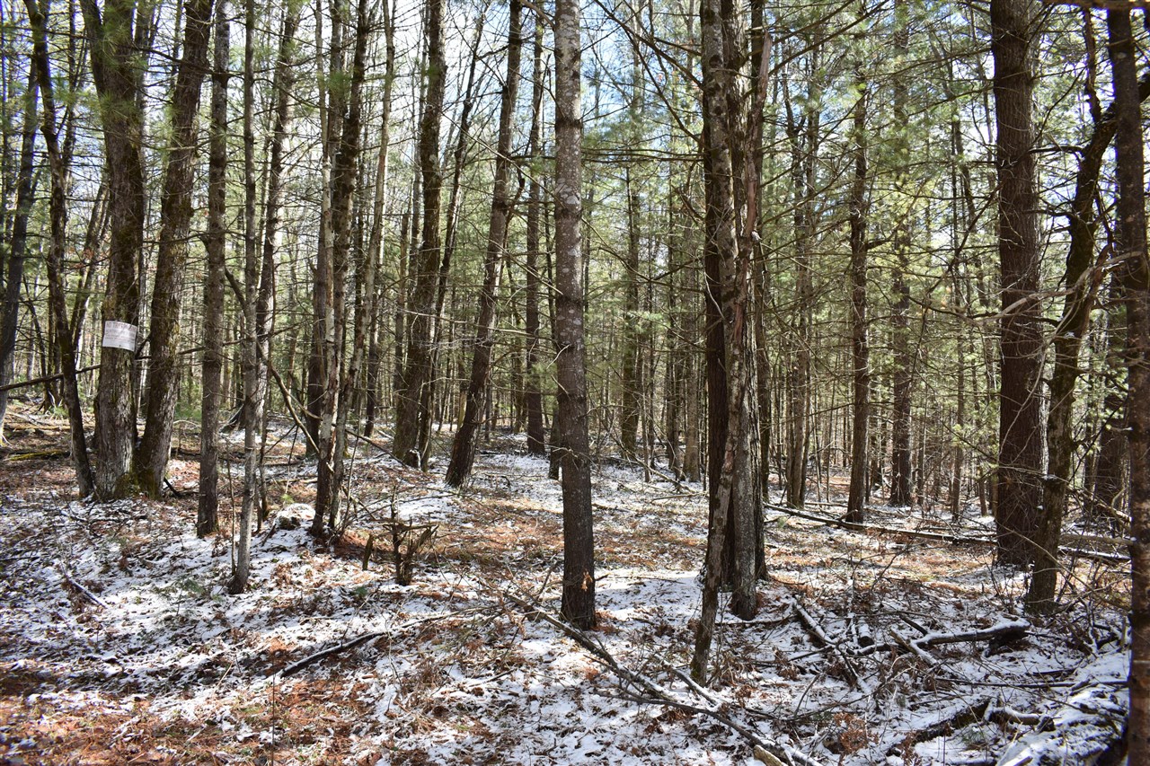 5199 E Marquette Trail, Chase, MI, 49623-8677