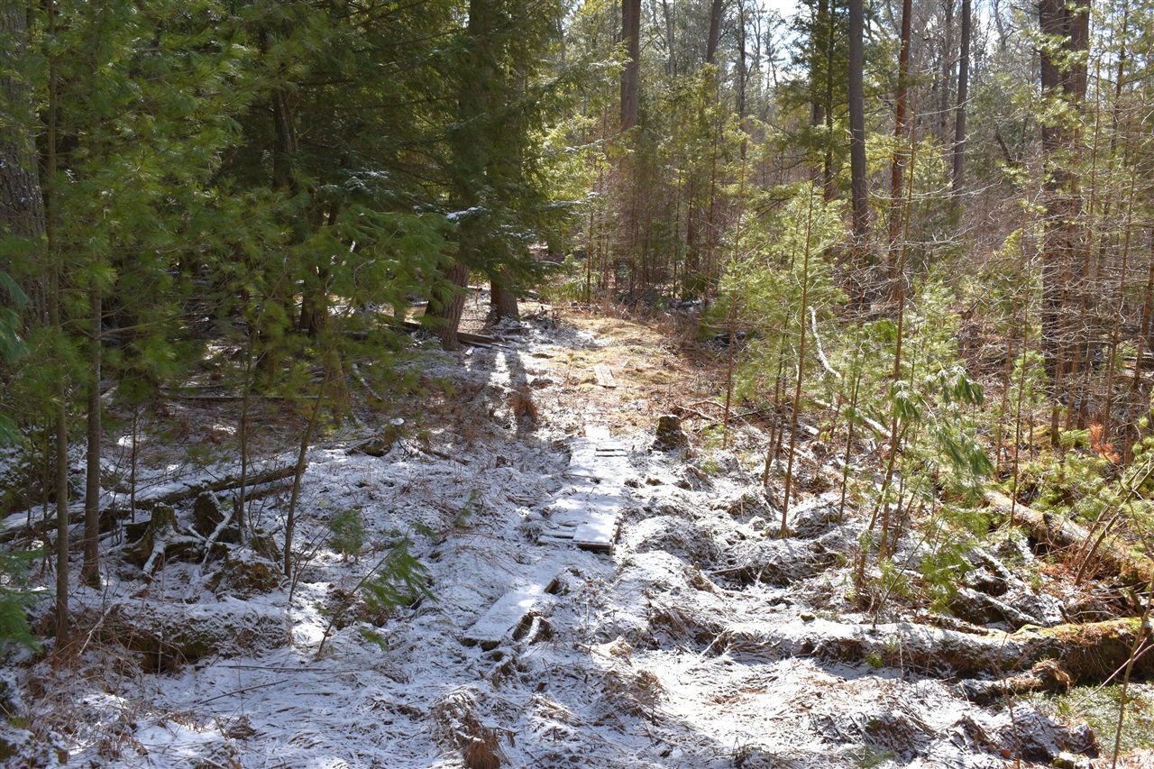 5199 E Marquette Trail, Chase, MI, 49623-8677